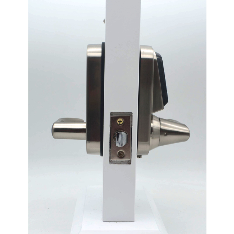 Cerradura Digital para Puerta  - Door Lock reseña y precio