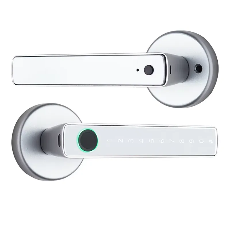 Manija Electrónica Inteligente - Door Handle reseña y precio